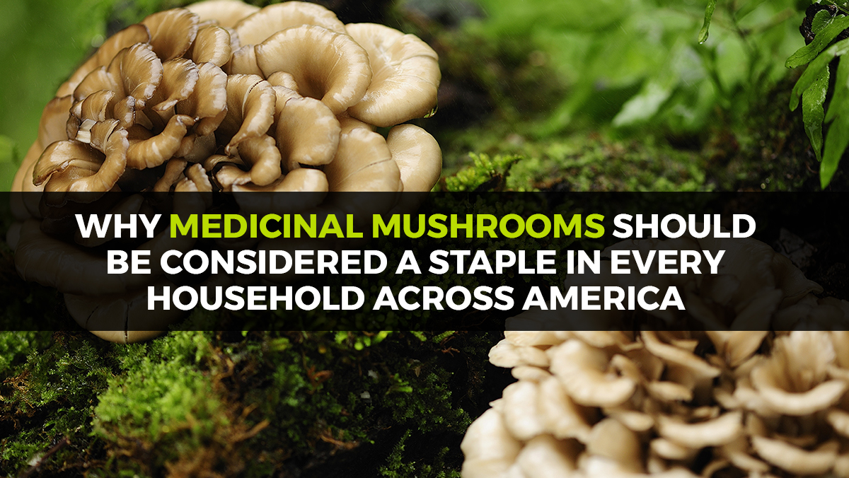 Why medicinal mushrooms should be considered a staple in every household across America