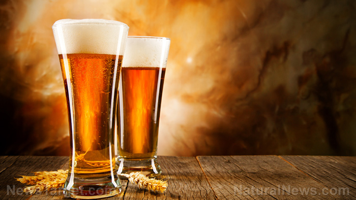 Beer as a renewable fuel: Vehicles could run on it 2022, without having to be altered