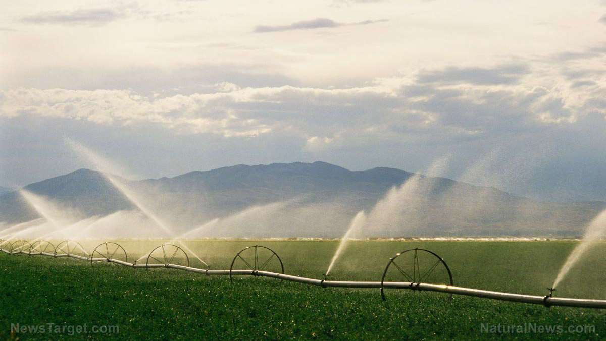 Water WARS erupting across our world as fresh water supplies collide with surging food demand