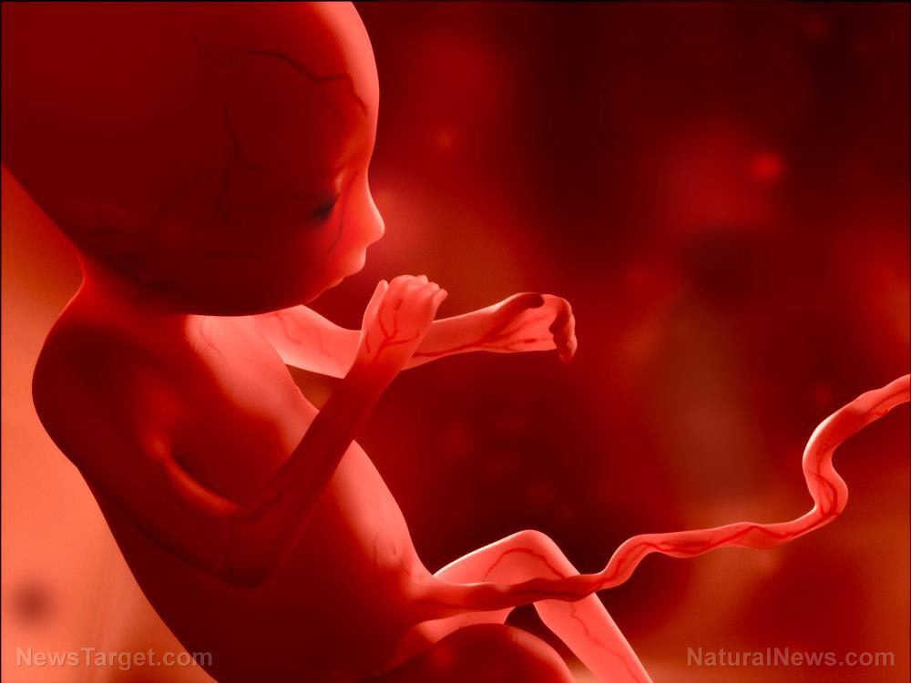 The SILENCE is deafening: Not a single Democrat speaks out against infanticide