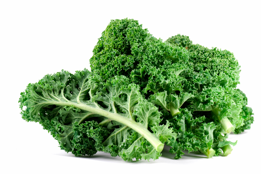Your stress-free guide to growing your own kale