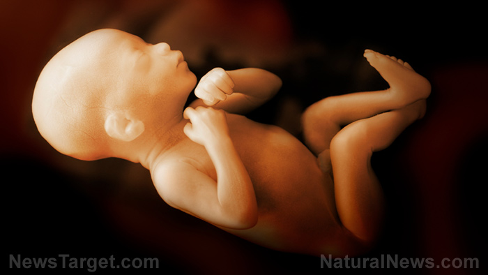 Aborted baby remains discovered in warehouse of biotech company that ran human body parts trade in America