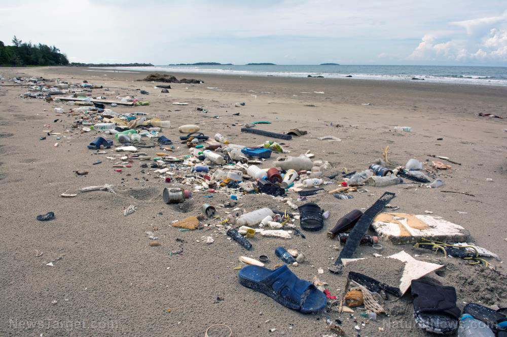 Are organized clean-ups really saving the world’s beaches?