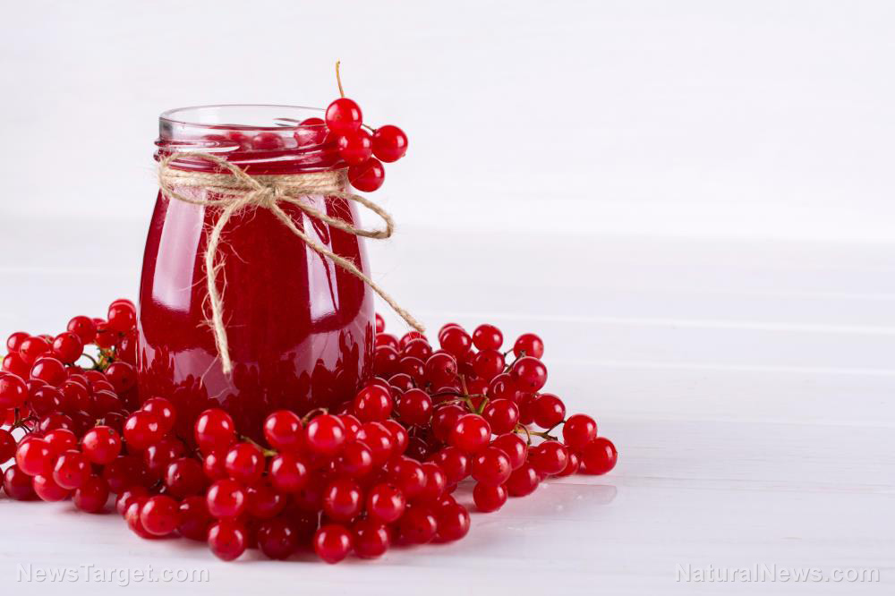 Cranberries improve oral health, study concludes