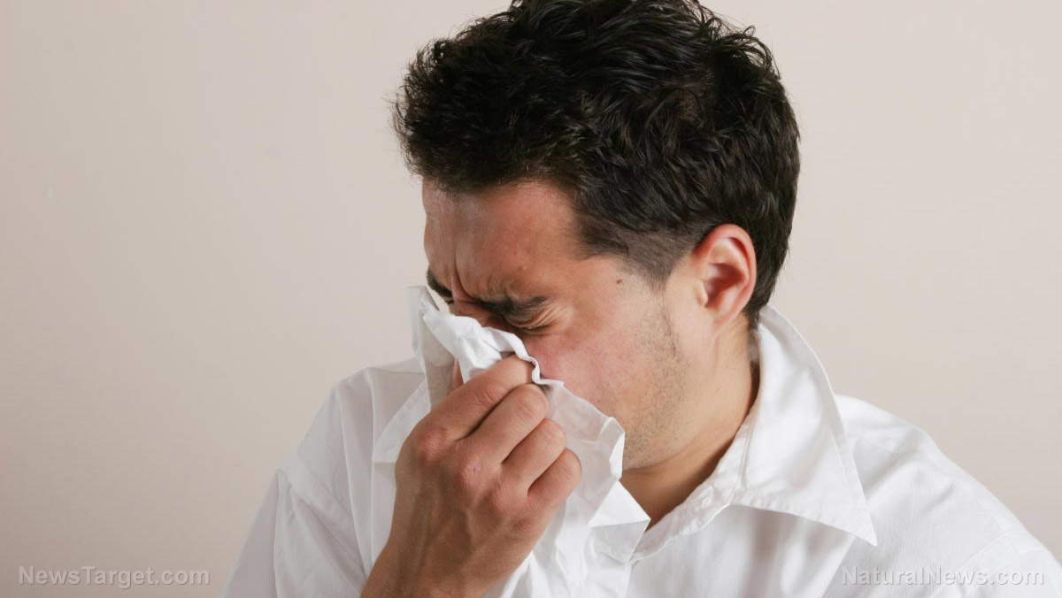 Natural remedies to keep on hand that can help prevent the common cold and the flu