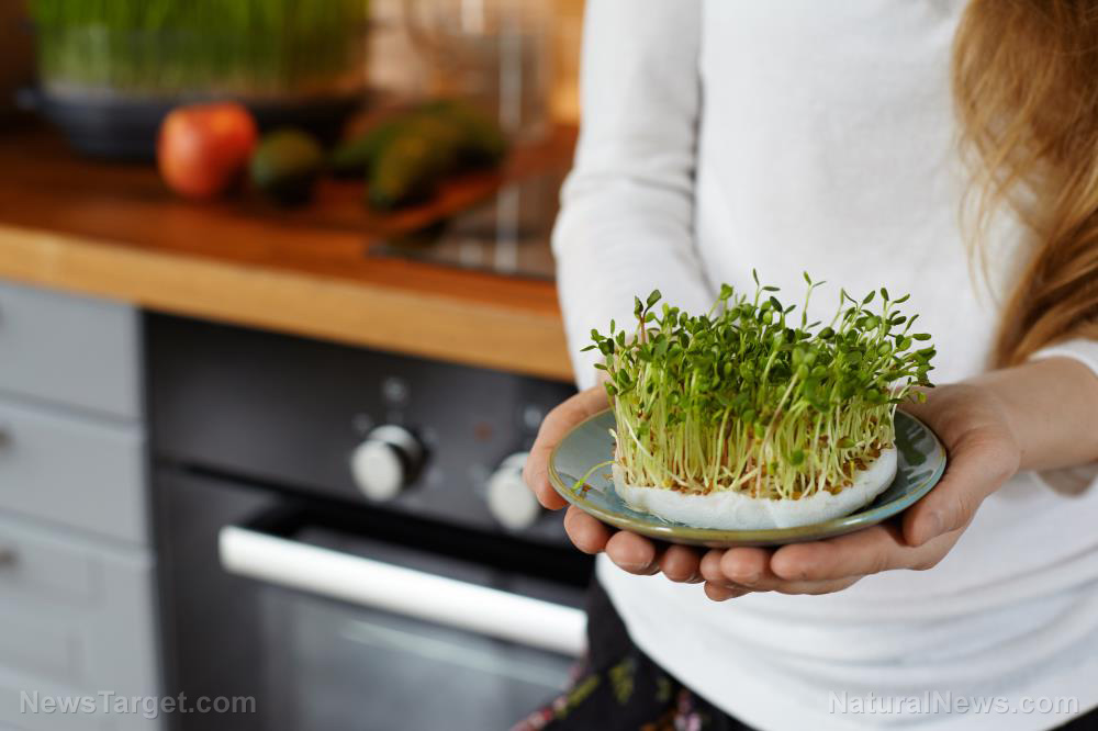 Why sprouts are the ultimate prepper food for cost-effective nutrition