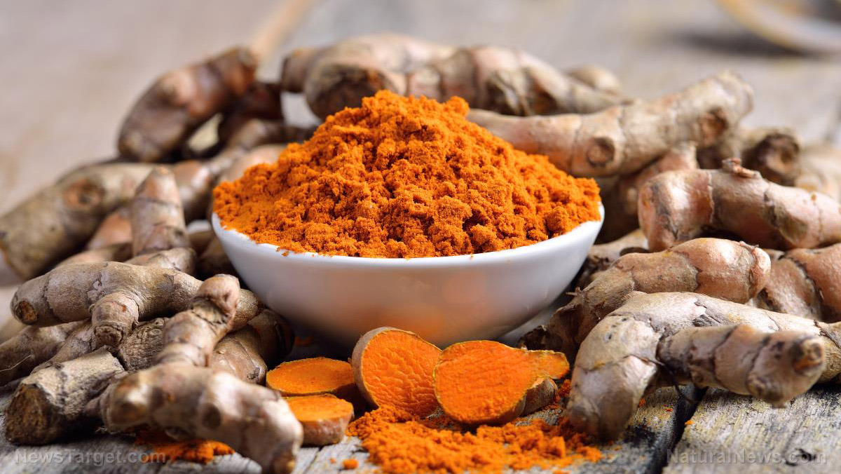 Survival medicine: How to grow turmeric, the ultimate anti-inflammatory superfood