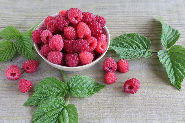 Red raspberry found to prevent head and neck cancers from developing and spreading