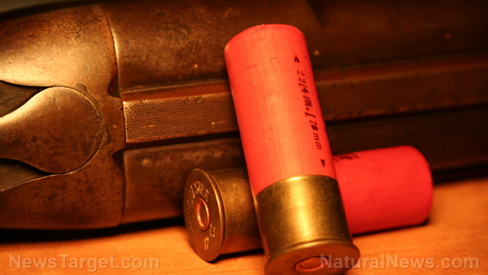 Shotgun myths that a lot of preppers still believe (but can get you killed)