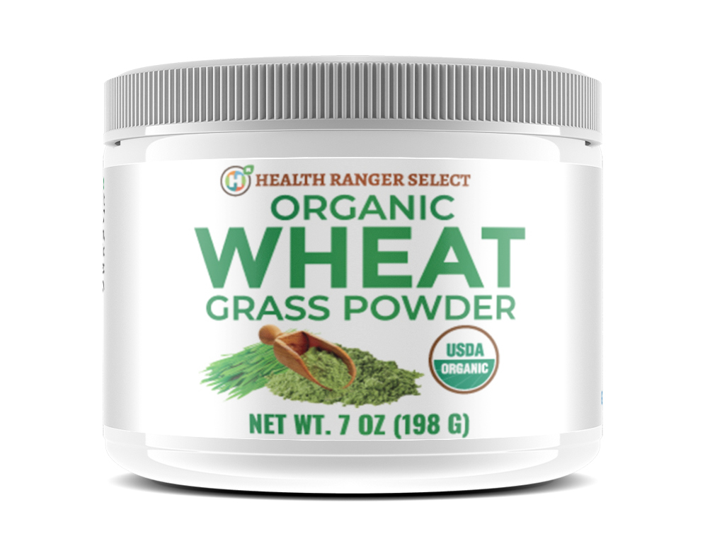 Organic, glyphosate-tested Wheat Grass Powder now available at the Health Ranger Store (see the lab video)