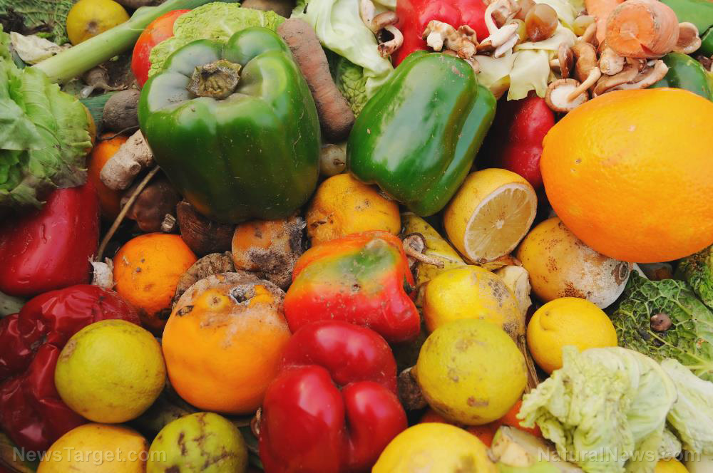 Prepping tips: 13 Ways to avoid food waste