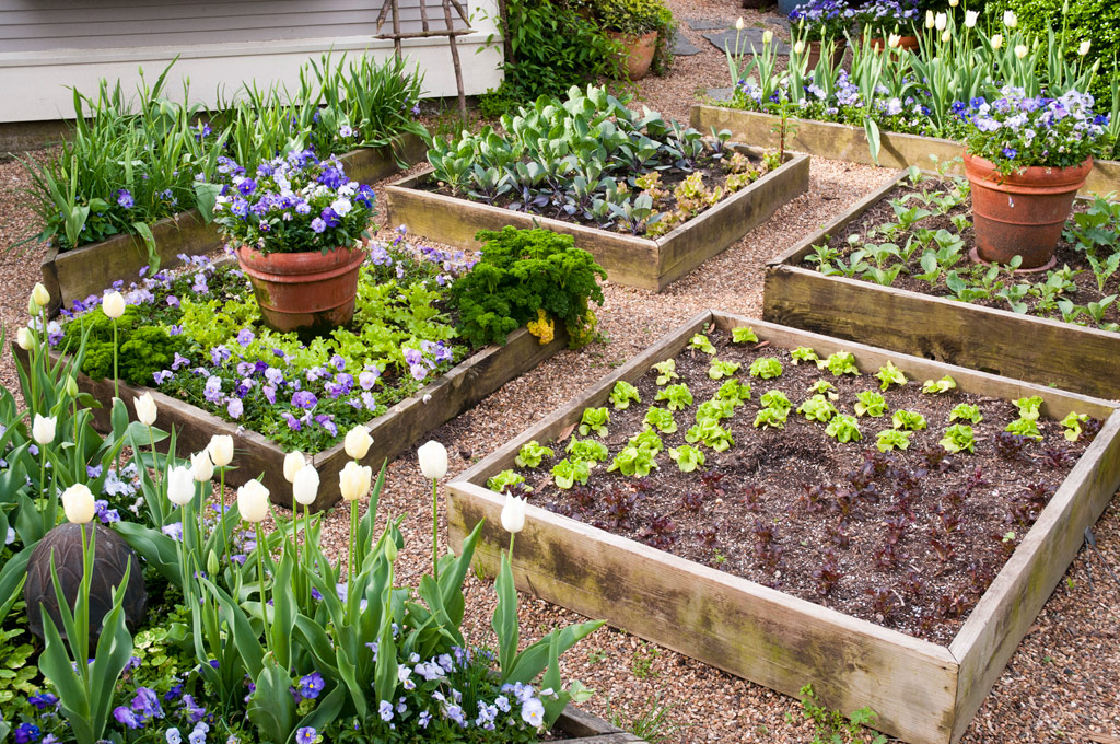 How to build the best raised garden beds