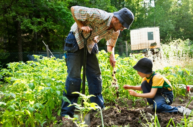 Prepping and self-sufficiency: Knowledge and time management skills are just as important as the size of your homestead
