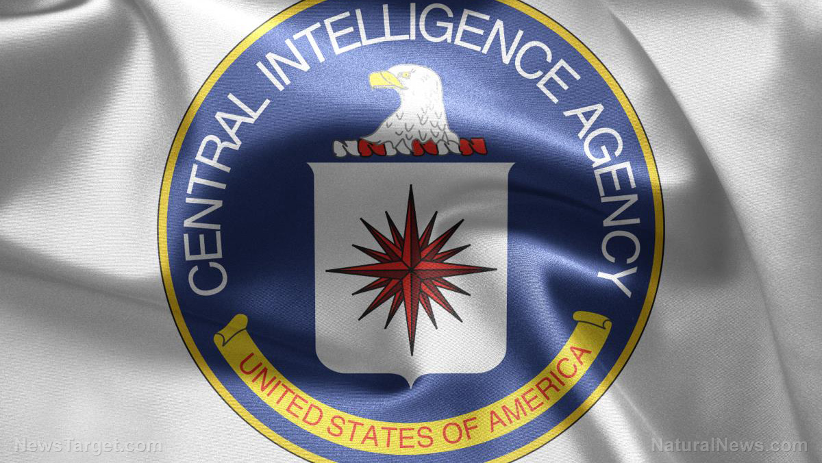 Impeachment… or CIA Coup?