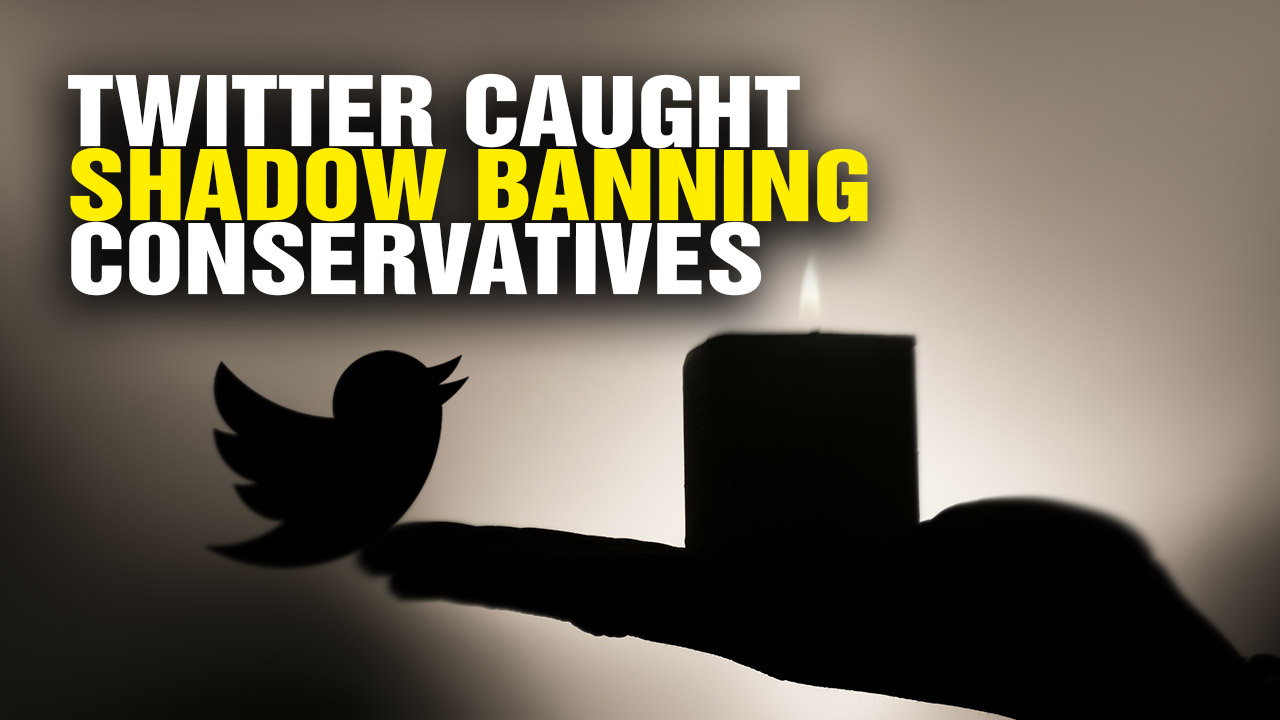 Twitter in total DENIAL about its shadow banning of conservatives