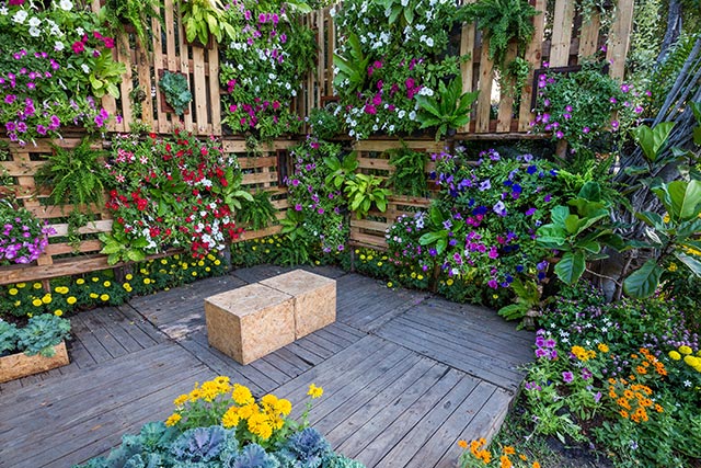 Build your own sustainable gardens: A no-nonsense guide