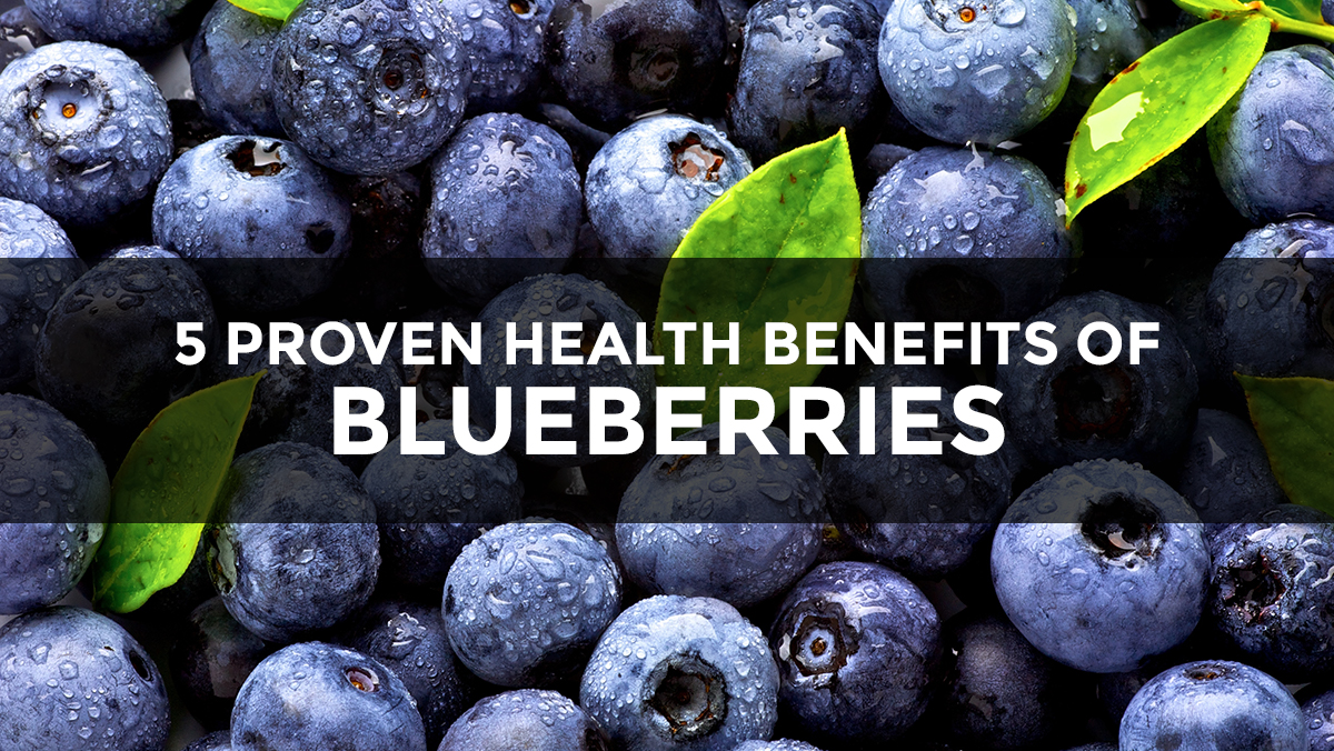 If blueberries were pharmaceuticals, they would be hailed as the greatest “miracle” health breakthrough in the history of medicine
