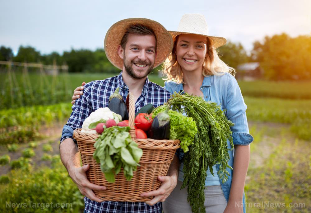 Why home gardening and food preservation is the best form of food insurance