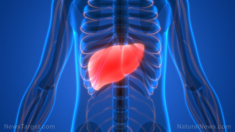 What happens to the liver when you drink alcohol? For one, it loses its ability to protect against cancer