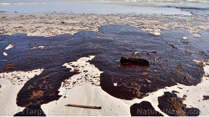 New study reveals true extent of toxic oil spill from Deepwater Horizon disaster