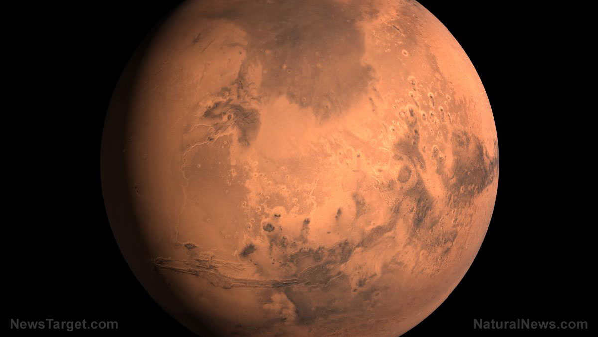 Bacteria experiment findings suggest life could exist on Mars