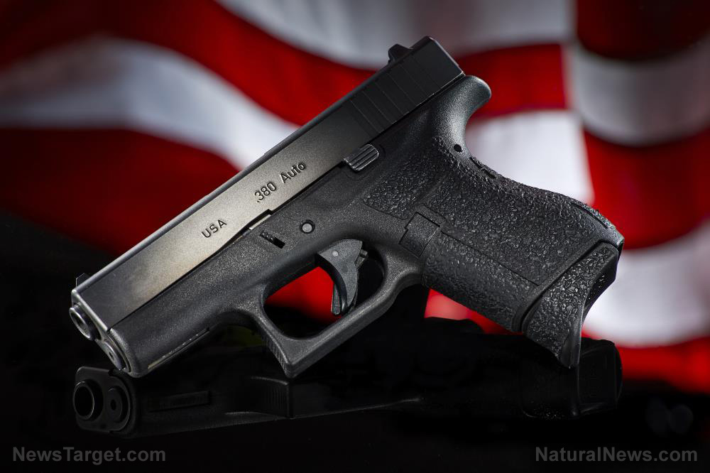 Four reasons for America to oppose red flag gun confiscation laws