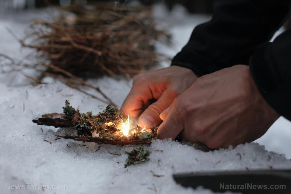 Should preppers take wilderness survival classes?