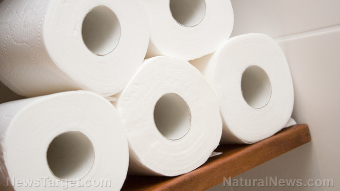No TP? No problem: How to make DIY toilet paper