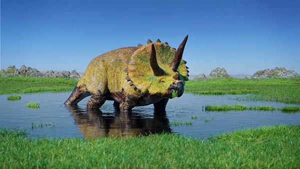 Construction site turned dinosaur dig: Workers unearth 68-million-year-old Triceratops fossil