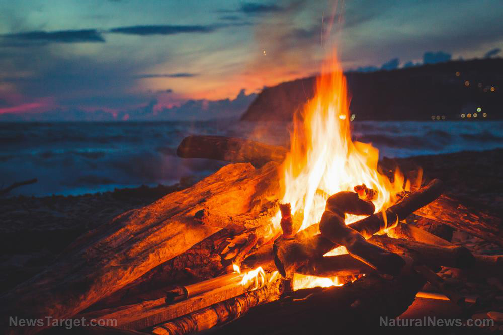 Fire is a versatile survival asset – Here’s a list of things you can cook over it