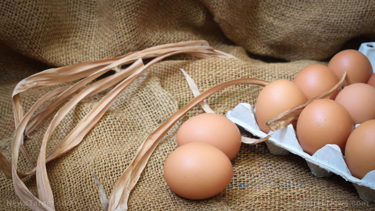 Huge increase in food demand due to coronavirus sends wholesale egg prices skyrocketing 180%