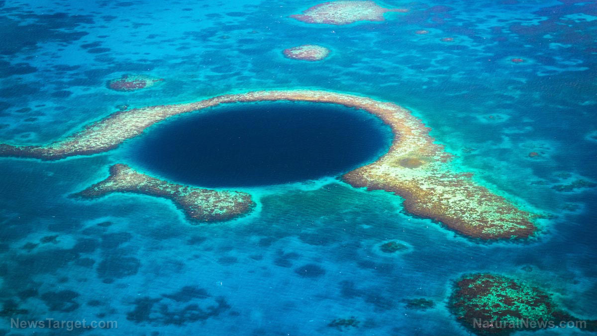 Scientists to investigate mysterious underwater sinkhole off Florida coast