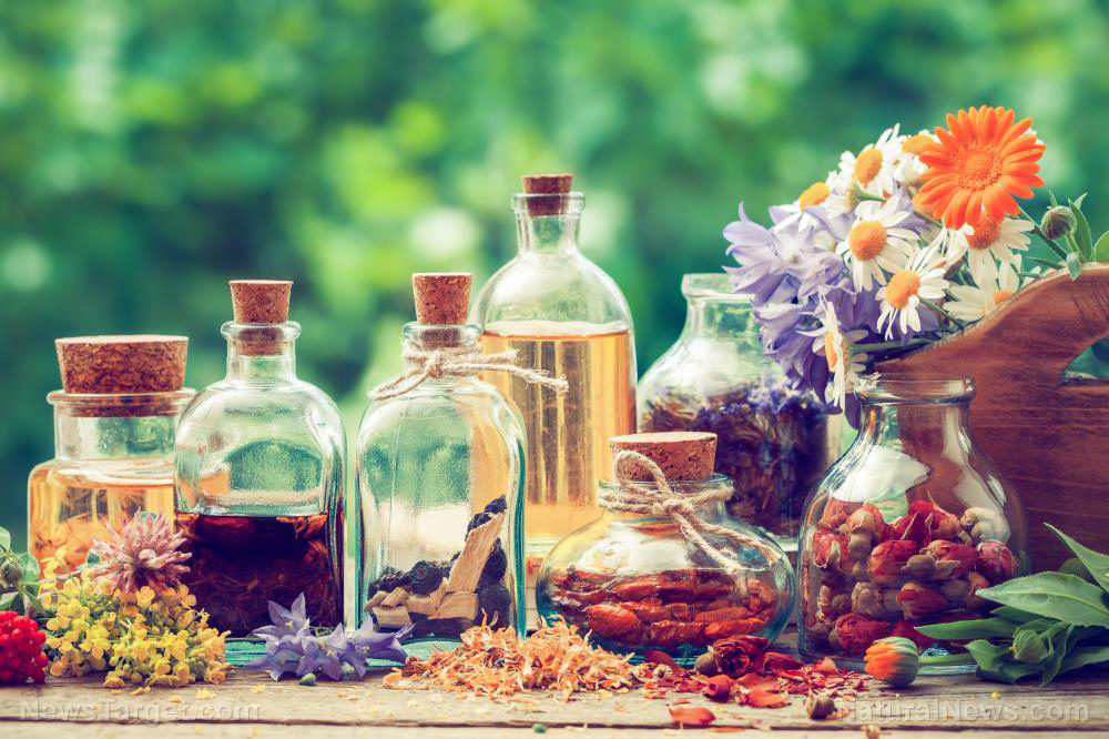 Survival medicine safety tips: How to properly label herbal remedies
