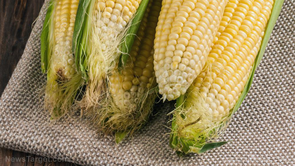 China buying up American corn due to flooding, creating food shortage crisis