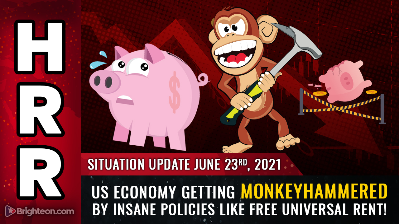 US economy will get MONKEYHAMMERED by insane policies like free universal rent, now announced in California