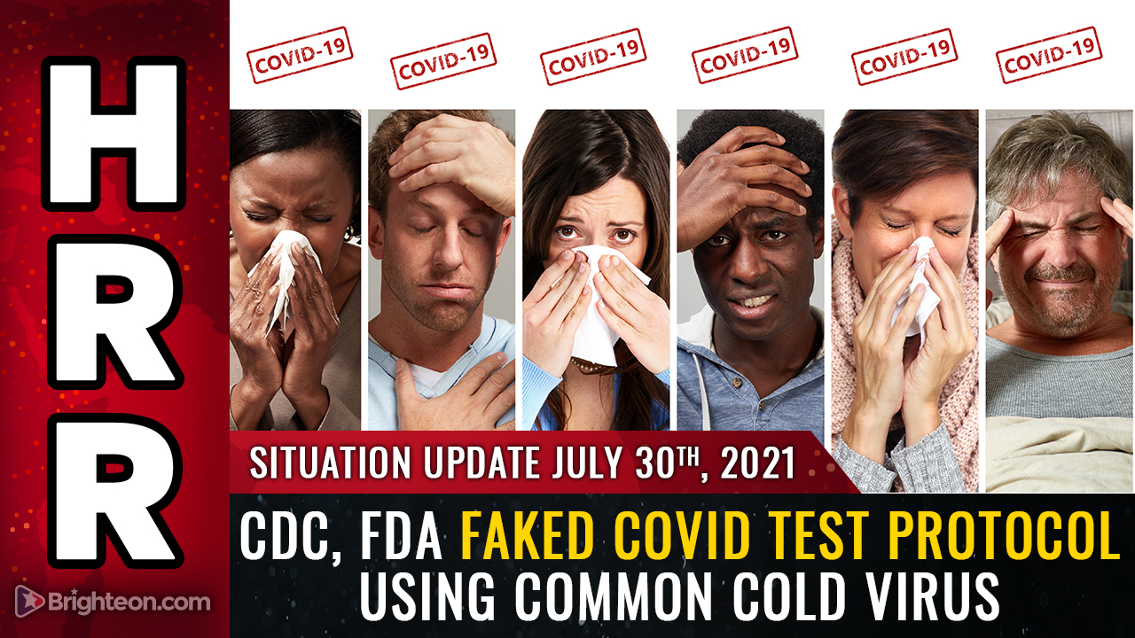 BREAKING: CDC, FDA faked “covid” testing protocol by using human cells mixed with common cold virus fragments… PCR tests are merely detecting the common cold