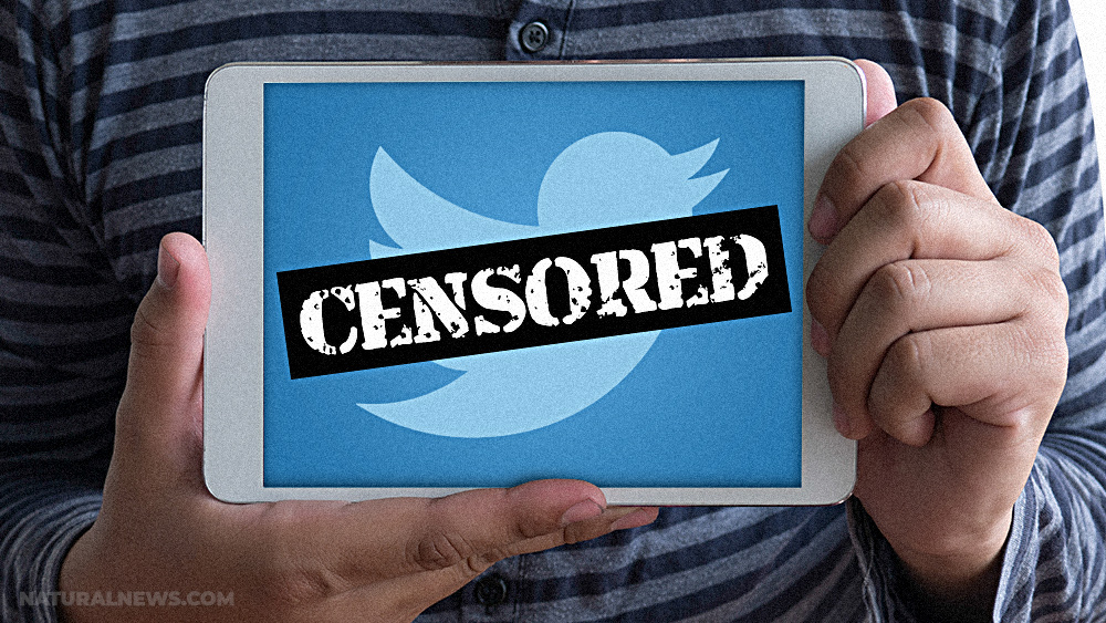 Twitter now protecting pedophiles, child traffickers and corrupt Democrat politicians by selectively banning “transparency” channels