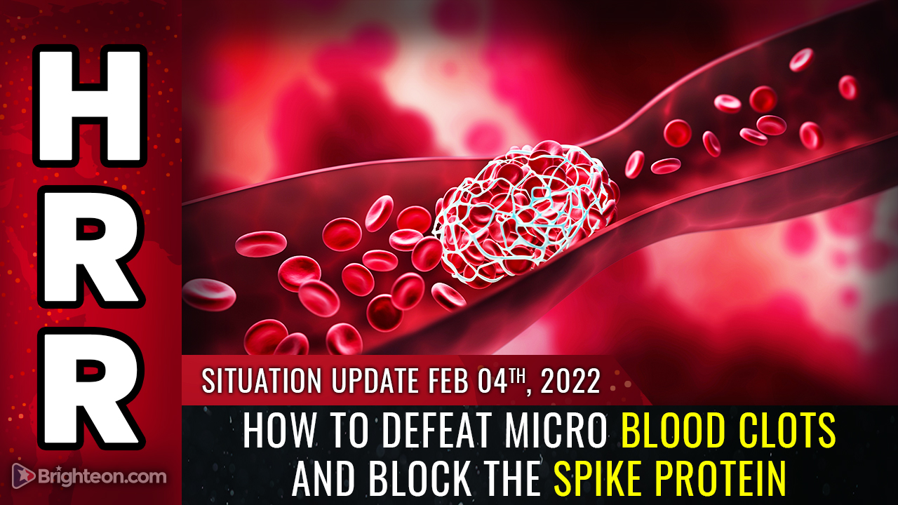 How to DEFEAT micro blood clots and block the spike protein by protecting the QUALITY of your blood