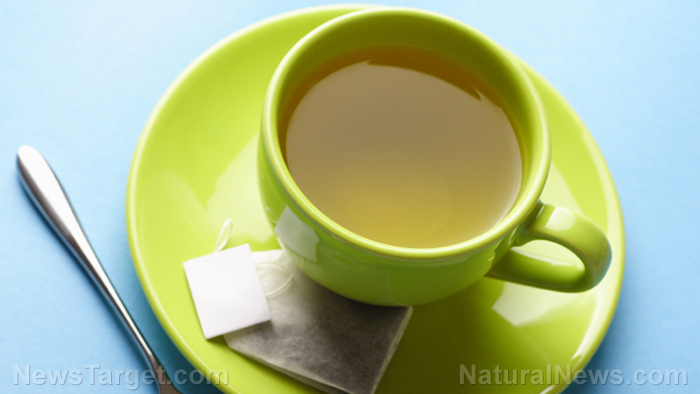 Drinking tea regularly linked to reduced cardiovascular disease risk