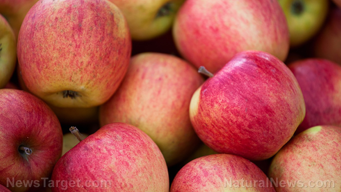 Scientists link chemicals used on apples to the rise of a DRUG-RESISTANT pathogen that’s plaguing healthcare facilities