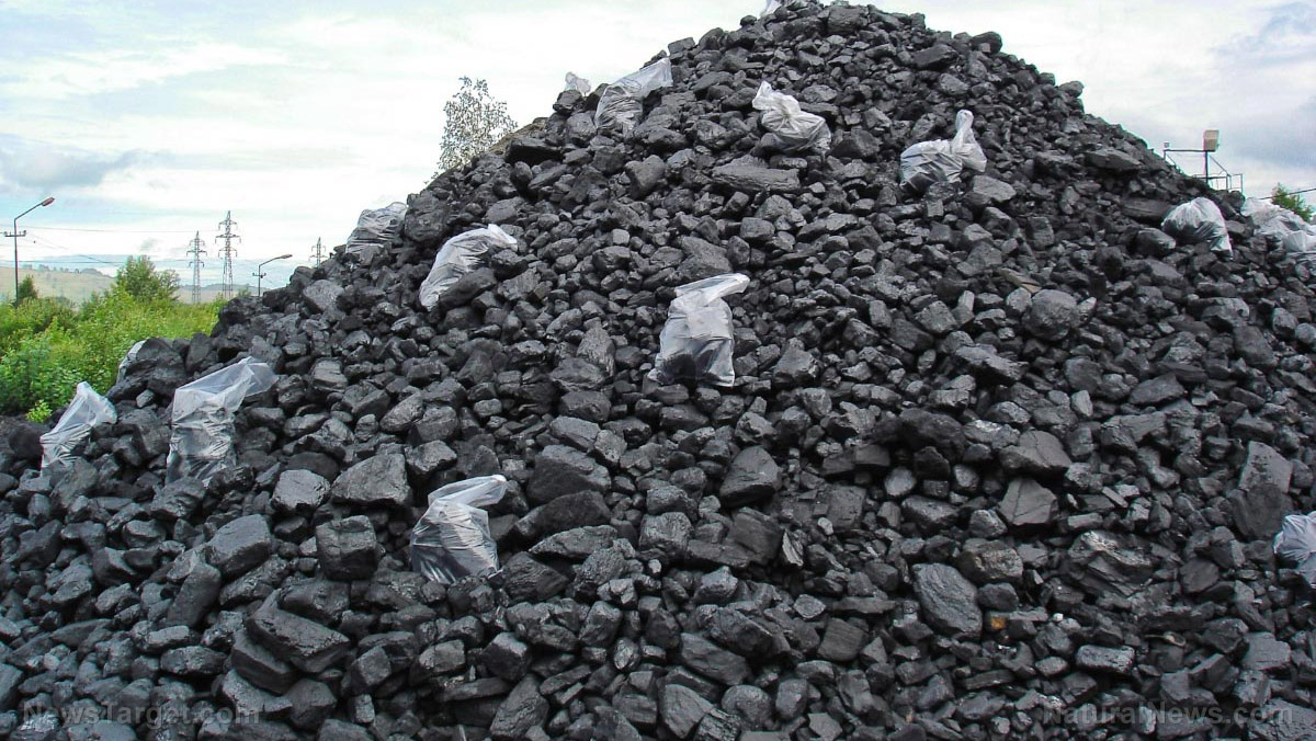 Preparing for the worst: EU stocks up on coal as ban on Russian imports looms