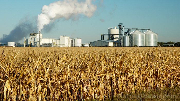 New study finds corn-based ethanol fuel is actually WORSE FOR THE ENVIRONMENT than regular gasoline
