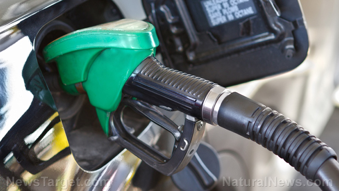 Price of diesel reaches all-time high – what will become of food production and transport?