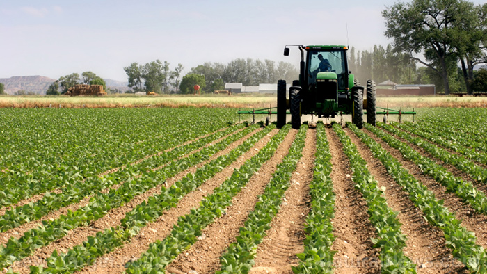 America continues to use 100 herbicides and pesticides that are BANNED in other countries