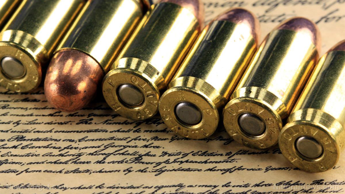 Flashpoint ahead! The ‘gun control master plan’ & push for the ‘final execution of the US Constitution & Bill of Rights in one fell swoop’ are on display for all to see in Virginia