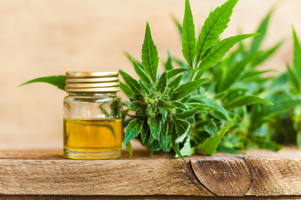 Cannabidiol (CBD) found to alleviate seizures in those with neurodevelopmental conditions: Study