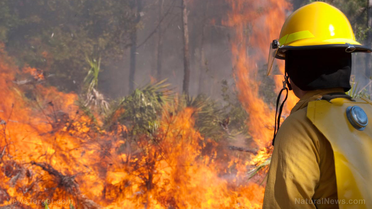 Heatwaves, forest fires in Europe devastate crops and livestock