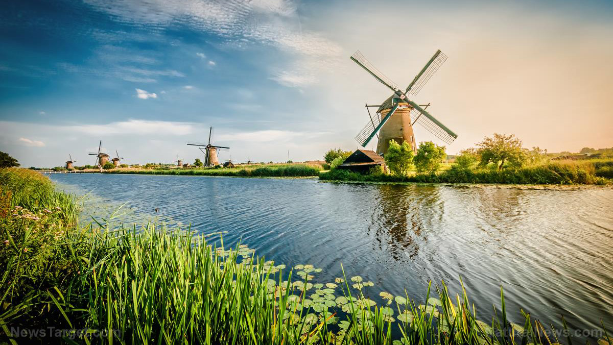 Dutch government conspiring with WEF to usher in “Great Reset”