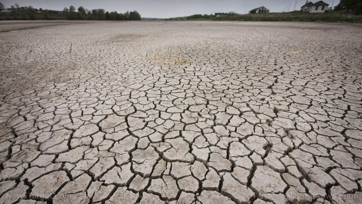 What are the odds? The US, Europe, Africa and China are all simultaneously experiencing droughts of epic proportions