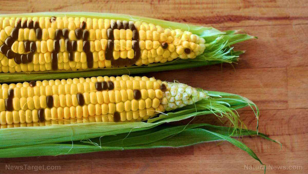 Are you eating GMO foods without knowing it?